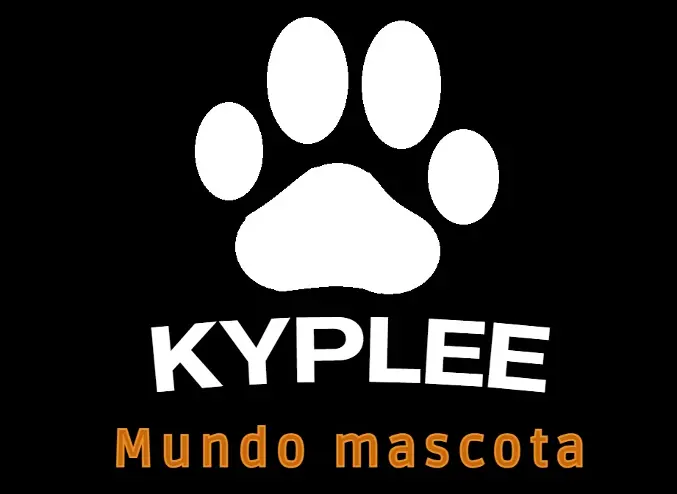Kyplee